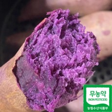 자색고구마