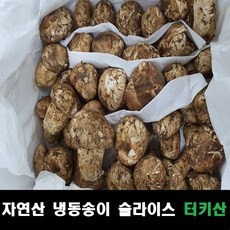 송이버섯