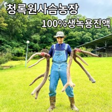 녹용진액