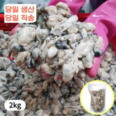 통영생굴1kg