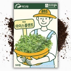 아이스플랜트