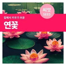 아이스플랜트