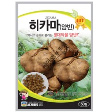 히카마